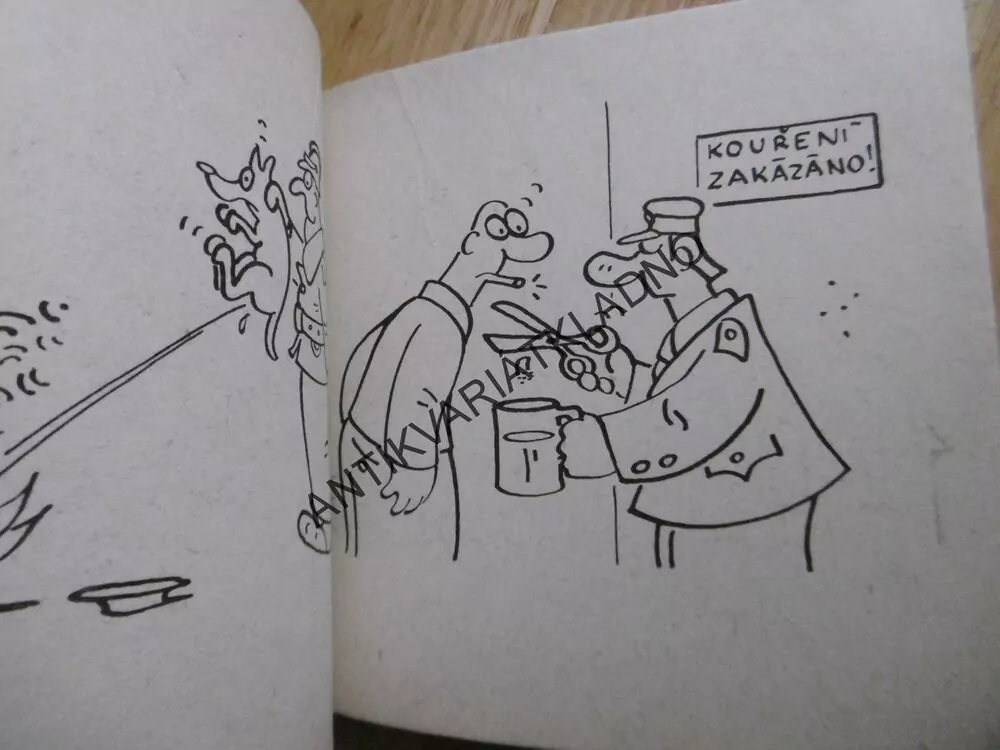 100 X HOŘÍ, HASIČI, POŽÁRNÍCI, HASIČSTVÍ, - BARTÁK, HRUBÝ, JIRÁNEK, KERLES, RENČÍN, SLÍVA AJ.