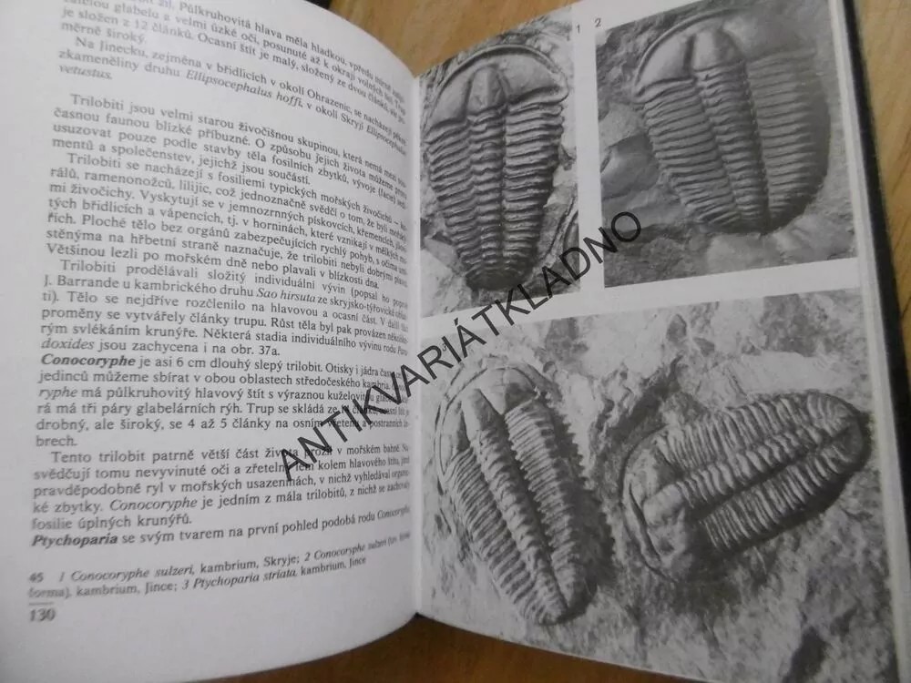 KAPESNÍ ATLAS ZKAMENĚLIN, V. HABĚTÍN, KNOBLOCH,