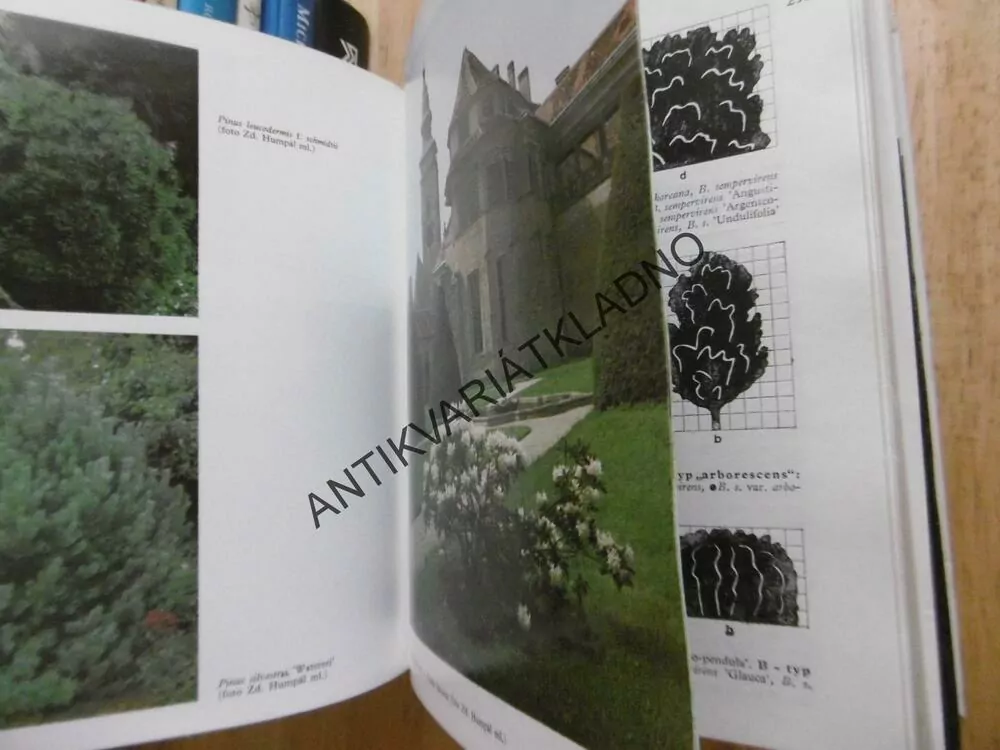 PRAKTICKÁ DENDROLOGIE 1-2, KAREL HIEKE, **an