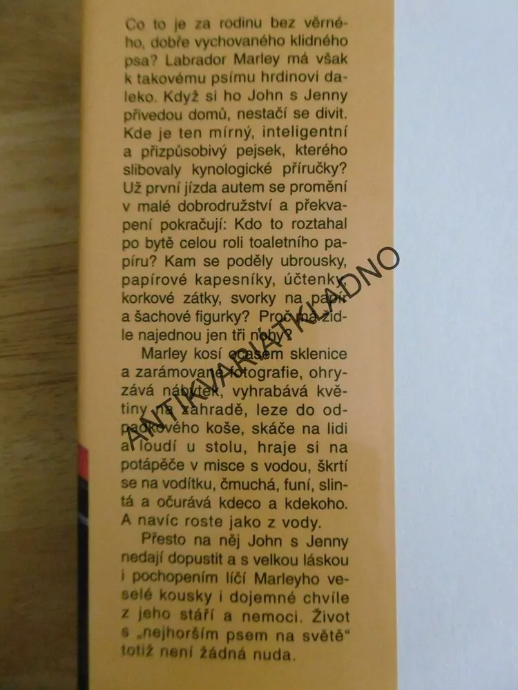 MARLEY A JÁ, JOHN GROGAN, PES, PSI, **an