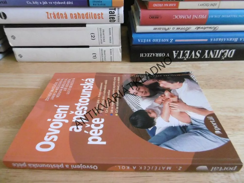 OSVOJENÍ A PĚSTOUNSKÁ PÉČE, ZDENĚK MATĚJČEK, **an