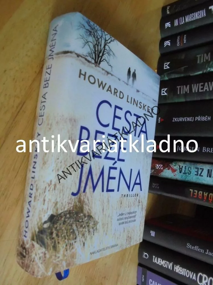 CESTA BEZE JMÉNA, HOWARD LINSKEY, THRILLER, **an