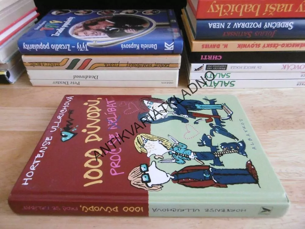 1000 DŮVODŮ, PROČ SE NELÍBAT, HORTENSE ULLRICHOVÁ, **an