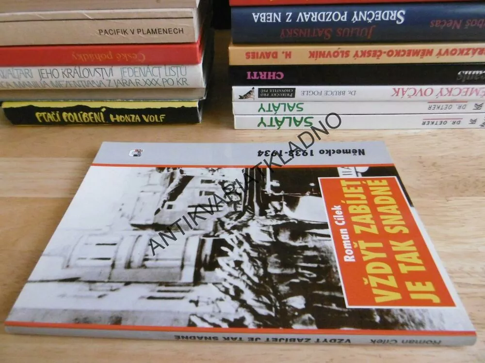 VŽDYŤ ZABÍJET JE TAK SNADNÉ, ROMAN CÍLEK, NĚMECKO 1933-34