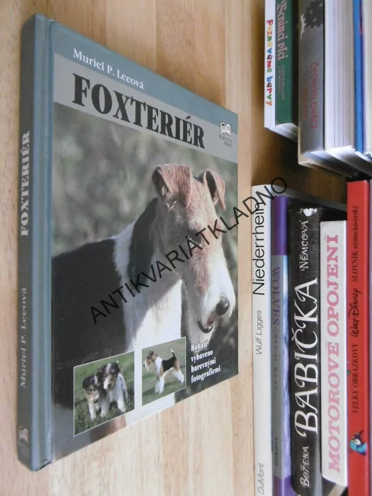 FOXTERIÉR, PES, MURIEL P.LEEOVÁ, **an