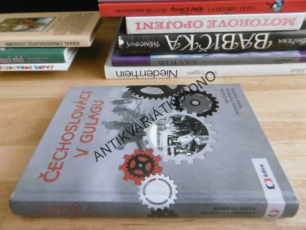 ČECHOSLOVÁCI V GULAGU, JAN DVOŘÁK, FORMÁNEK, HRADÍLEKUMINOVÁ, **an