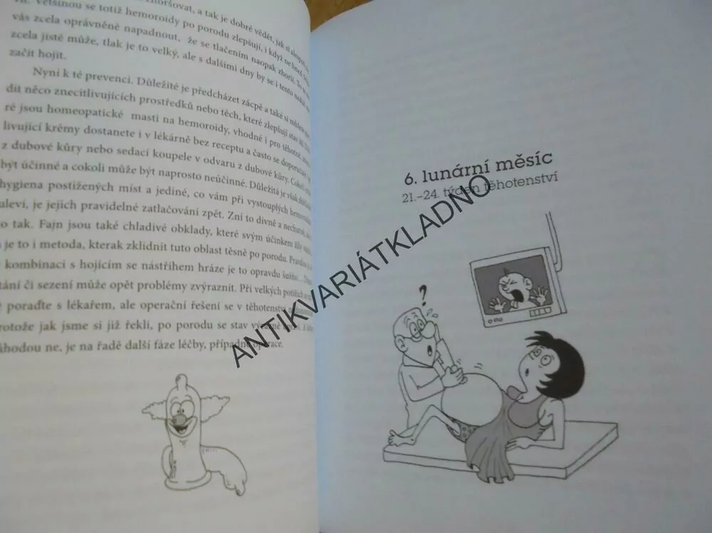 JSEM TĚHOTNÁ, NE NEMOCNÁ, RADY, PETŘÍČKOVÁ, VOSTRÝ