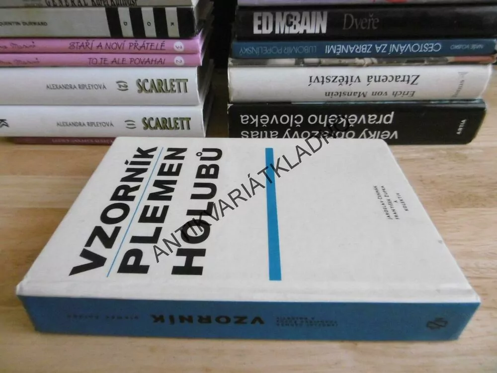 VZORNÍK PLEMEN HOLUBŮ, ČERMÁK, ŽUPKA