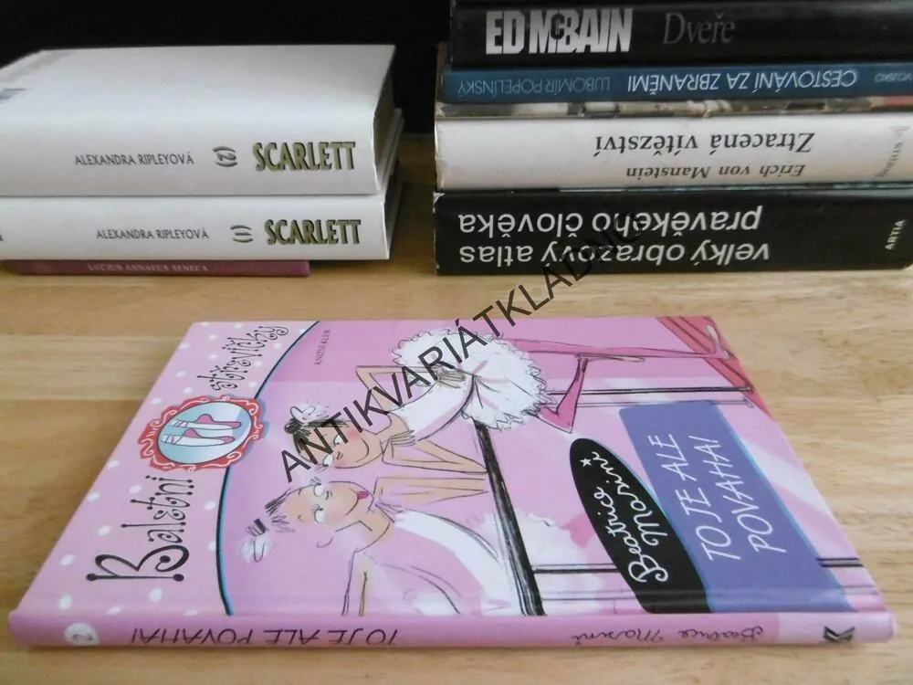 TO JE ALE POVAHA!, BALETNÍ STŘEVÍČKY, BEATRICE MASINI, **an