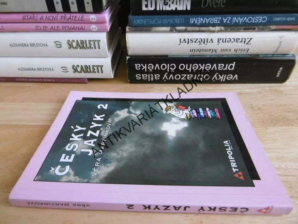 ČESKÝ JAZYK PRO 2., VĚRA MARTINKOVÁ