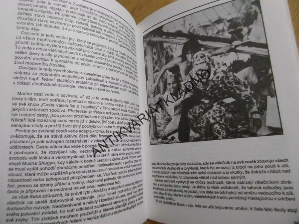 TAJEMNÍ NINDŽOVÉ, ŠREIER, MÁDL, VÁGNER,