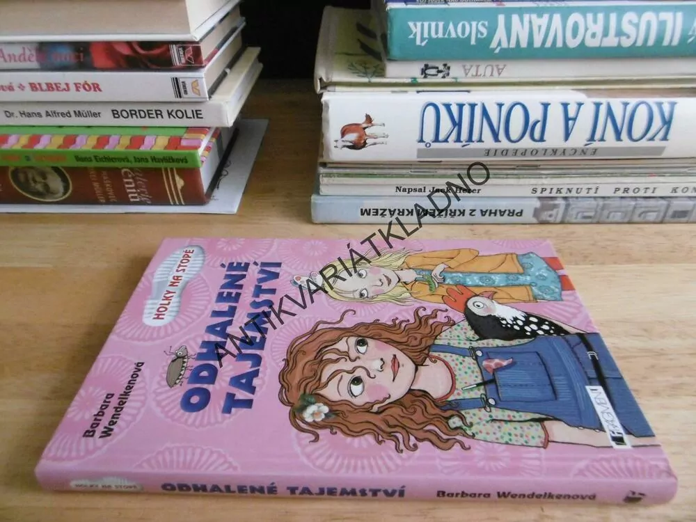 ODHALENÉ TAJEMSTVÍ, HOLKY NA STOPĚ, BARBARA WENDELKENOVÁ, **an