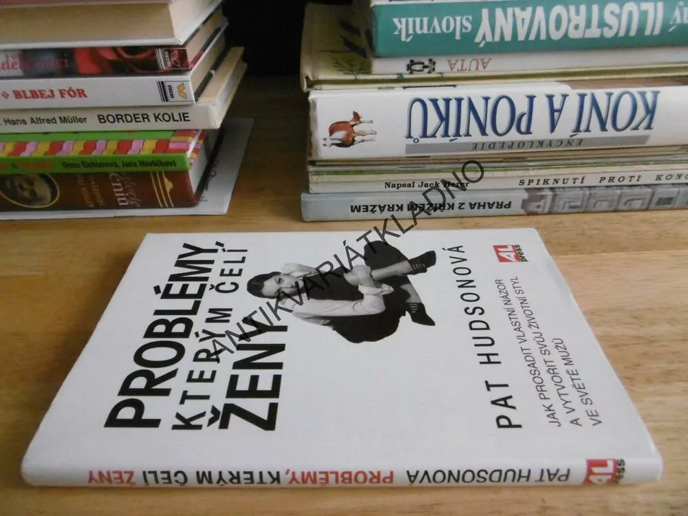 PROBLÉMY, KTERÝM, ČELÍ ŽENY, PAT HUDSONOVÁ, JAK PROSADIT VLASTNÍ NÁZOR, **an
