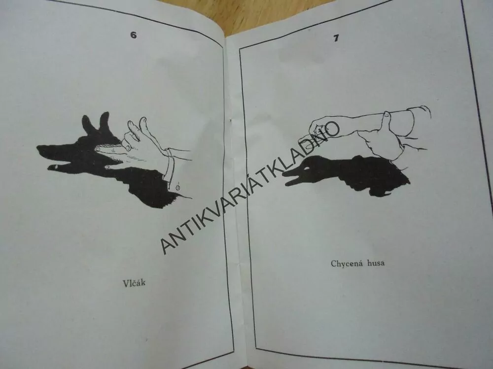 STÍNOHRY PRO MALÉ I VELKÉ,