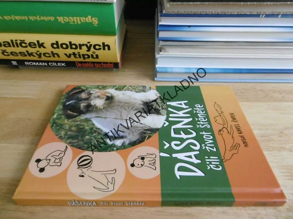 DÁŠENKA, ČILI ŽIVOT ŠTĚNĚTE, KAREL ČAPEK, 2012, **an