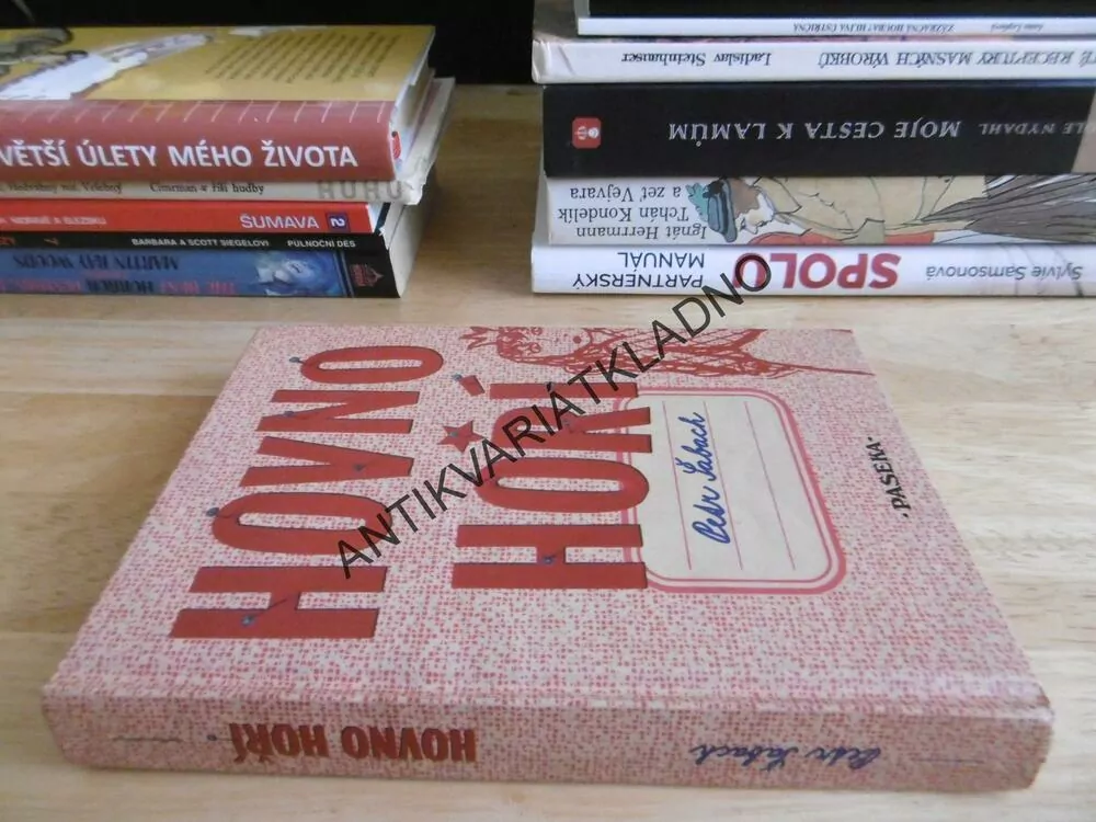 HOVNO HOŘÍ, PETR ŠABACH, 2007, **an