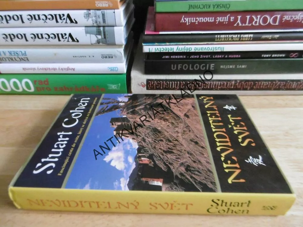 NEVIDITELNÝ SVĚT, STUART COHEN, **an