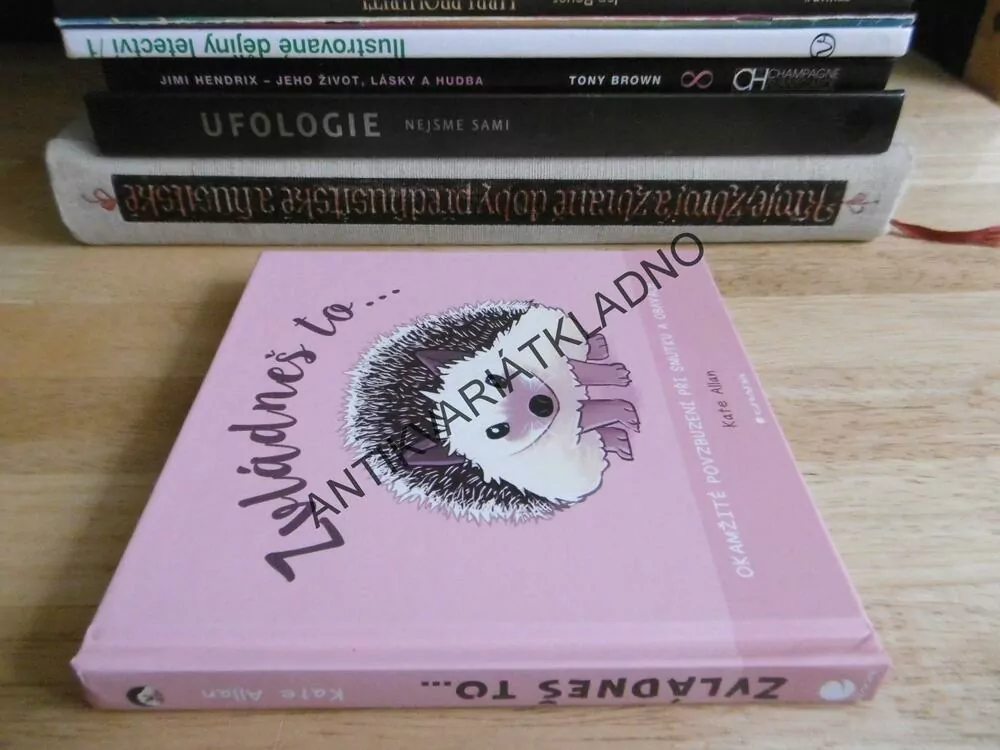 ZVLÁDNEŠ TO..., OKAMŽITÉ POVZBUZENÍ PŘI SMUTKU A OBAVÁCH, KATE ALLAN, **an