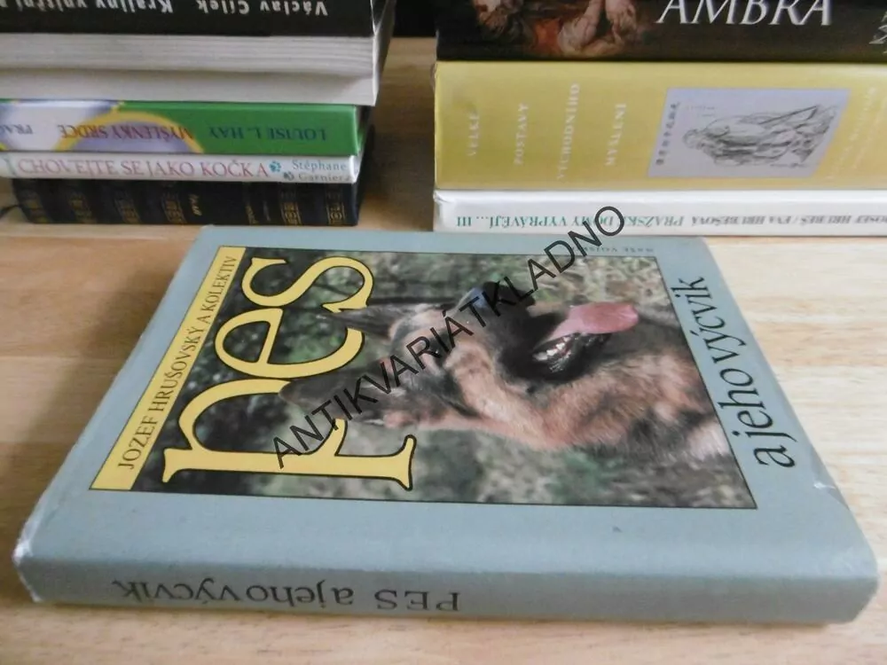 PES A JEHO VÝCVIK, HRUŠOVSKÝ, PSŮ, PES, 