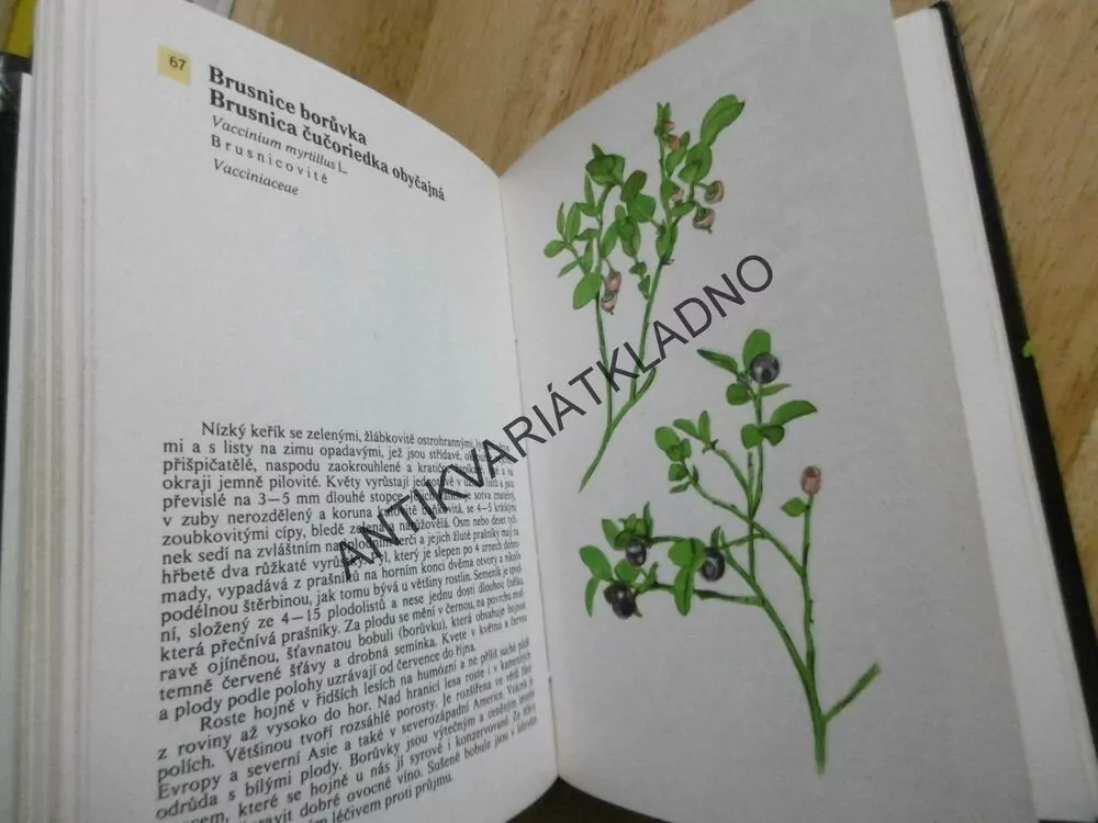 KAPESNÍ ATLAS ROSTLIN, ALBERT PILÁT, OTTO UŠÁK, 1963, **an