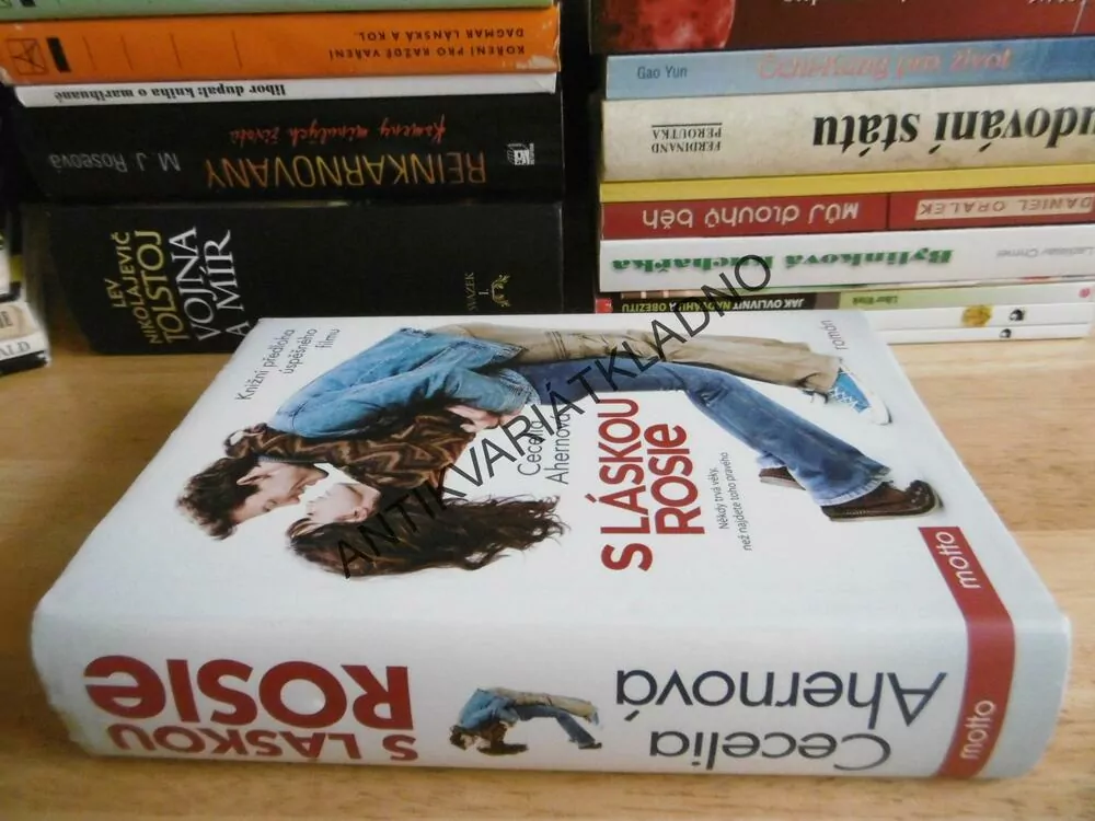 S LÁSKOU ROSIE, CECELIA AHERNOVÁ, **an