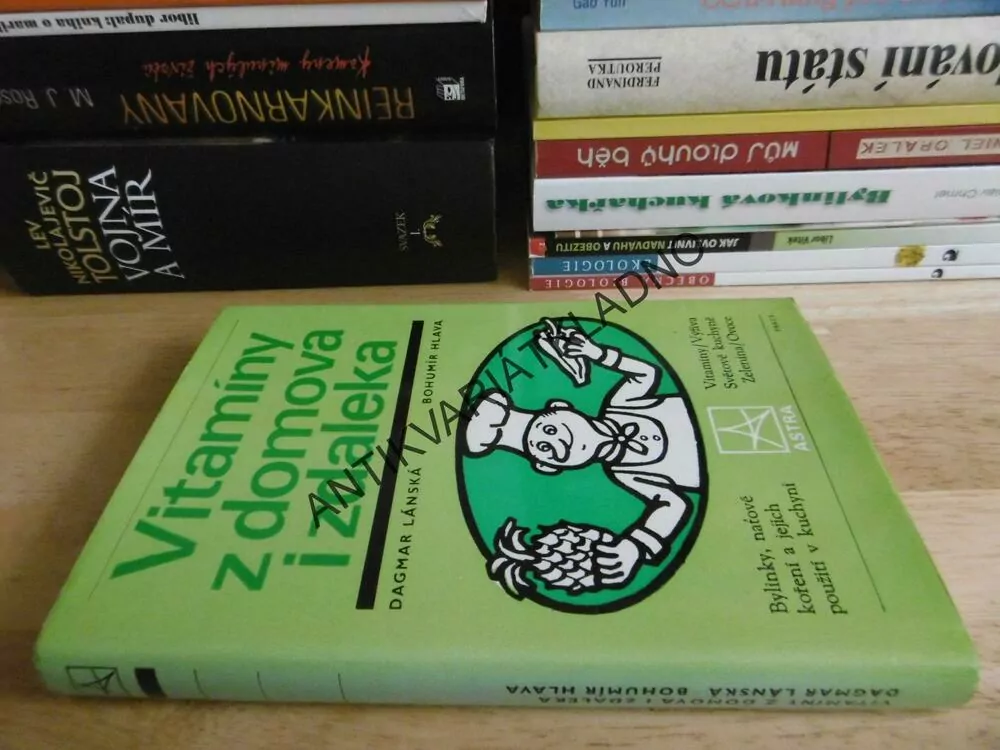 VITAMÍNY Z DOMOVA I Z DALEKA, KUCHAŘKA, RECEPTY,DAGMAR LÁNSKÁ, BOHUMÍR HLAVA, 1982, NEPRAKTA, **an