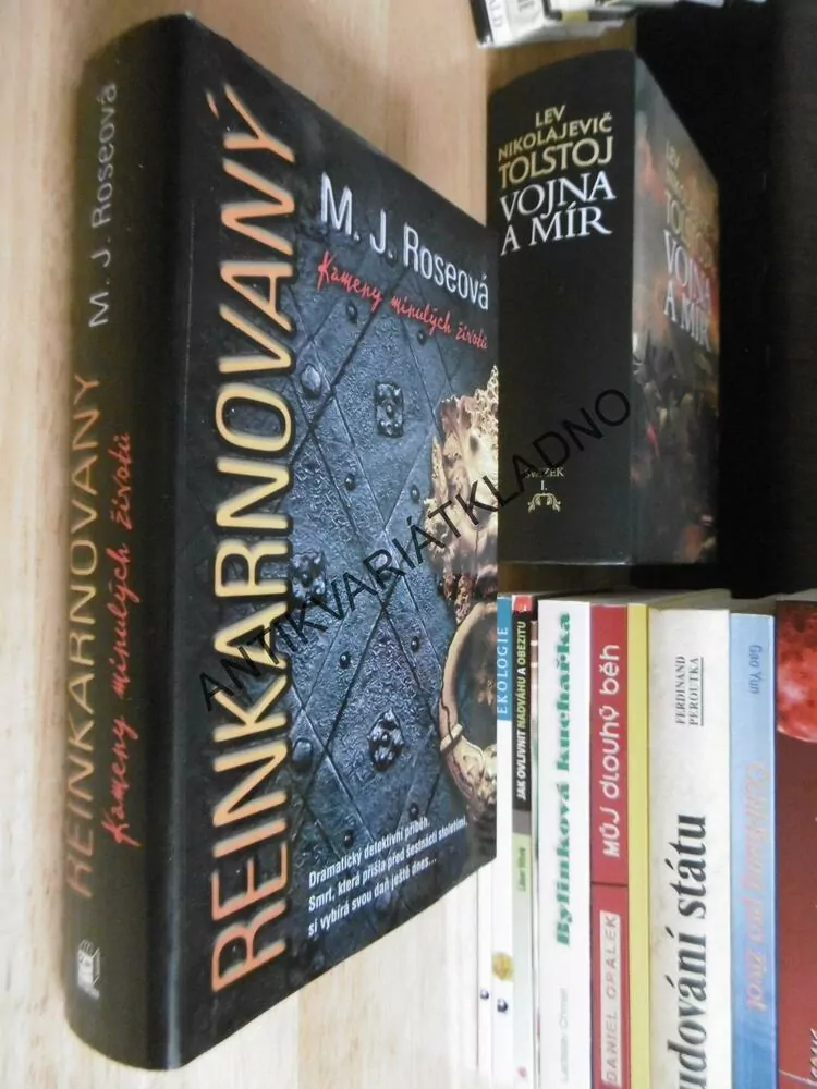 REINKARNOVANÝ, M.J.ROSEOVÁ, KAMENY MINULÝCH ŽIVOTŮ