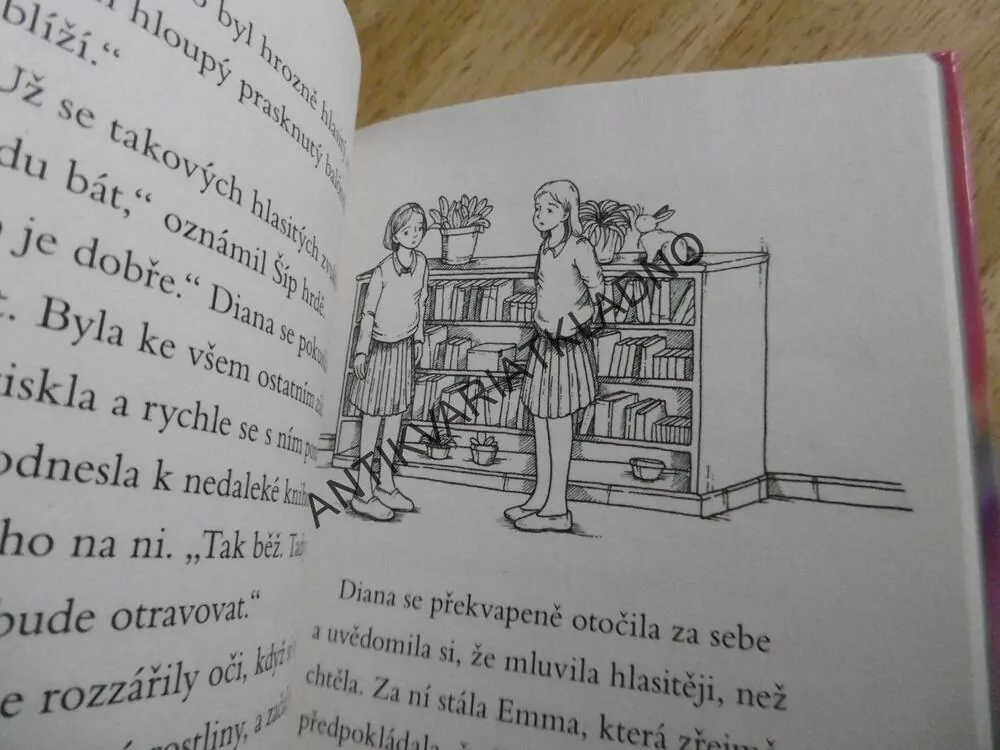 KOUZELNÝ KRÁLÍČEK, STRÁŽCE KLÍČE, SUE BENTLEYOVÁ, **an