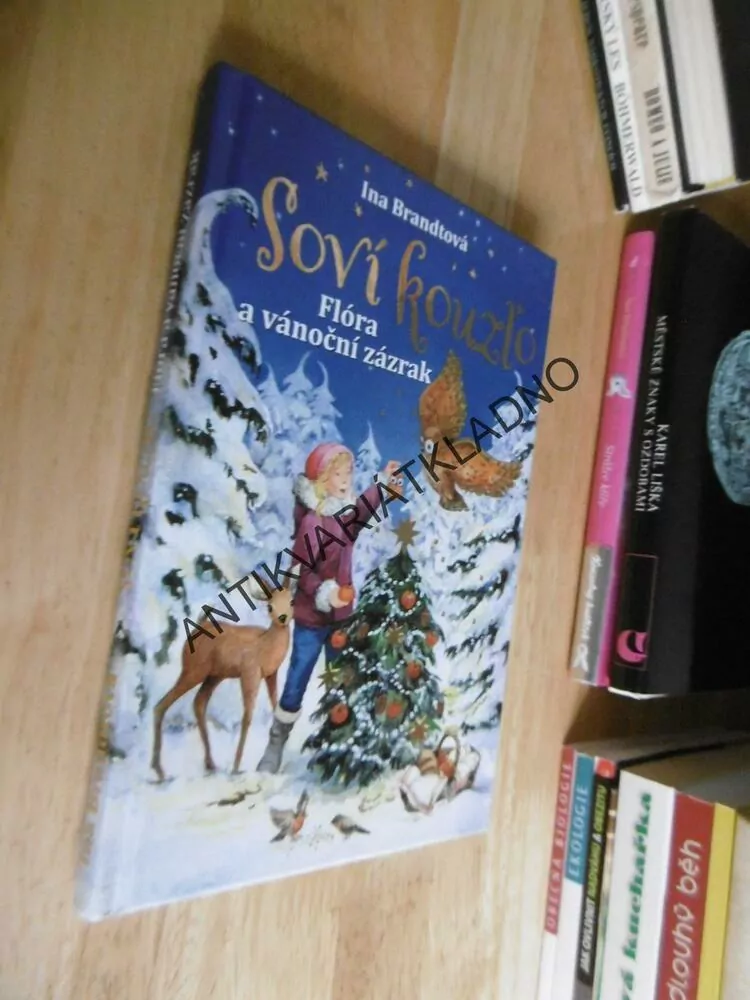 SOVÍ KOUZLO, FLÓRA A VÁNOČNÍ ZÁZRAK, INA BRANDTOVÁ, **an