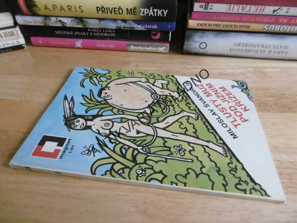 TLUSTÝ MUŽ POD JIŽNÍM KŘÍŽEM, ŠVANDRLÍK, NEPRAKTA, **an
