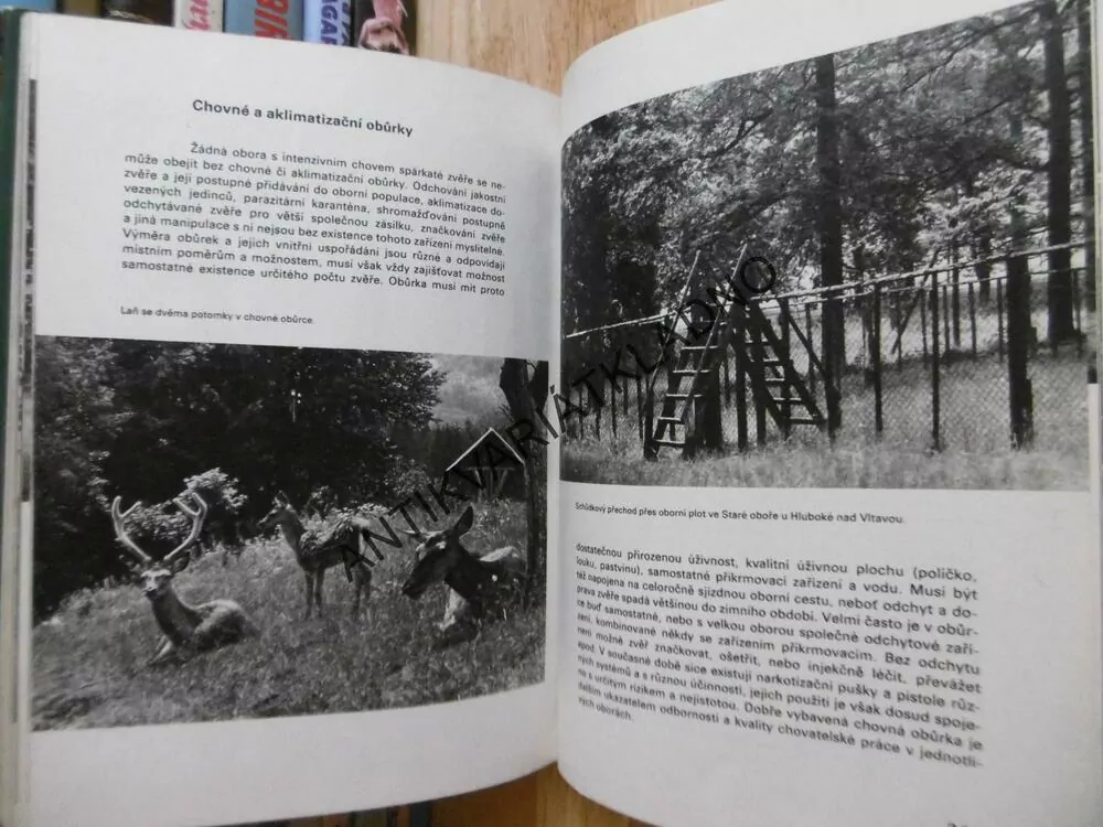 NAŠE OBORY, WOLF, CHROUST, KOKEŠ, LOCHMAN, 