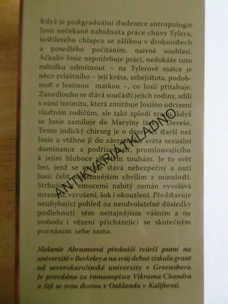 NEBEZPEČNÉ HRY, MELANIE ABRAMSOVÁ, **an
