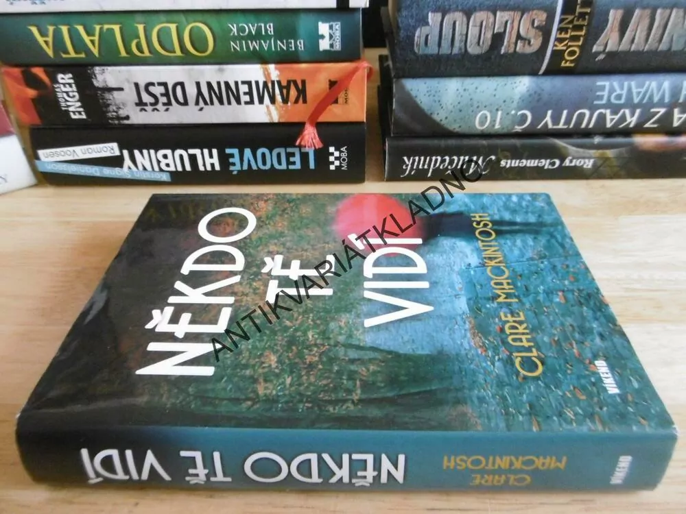NĚKDO TĚ VIDÍ, CLARE MACKINTOSH **an