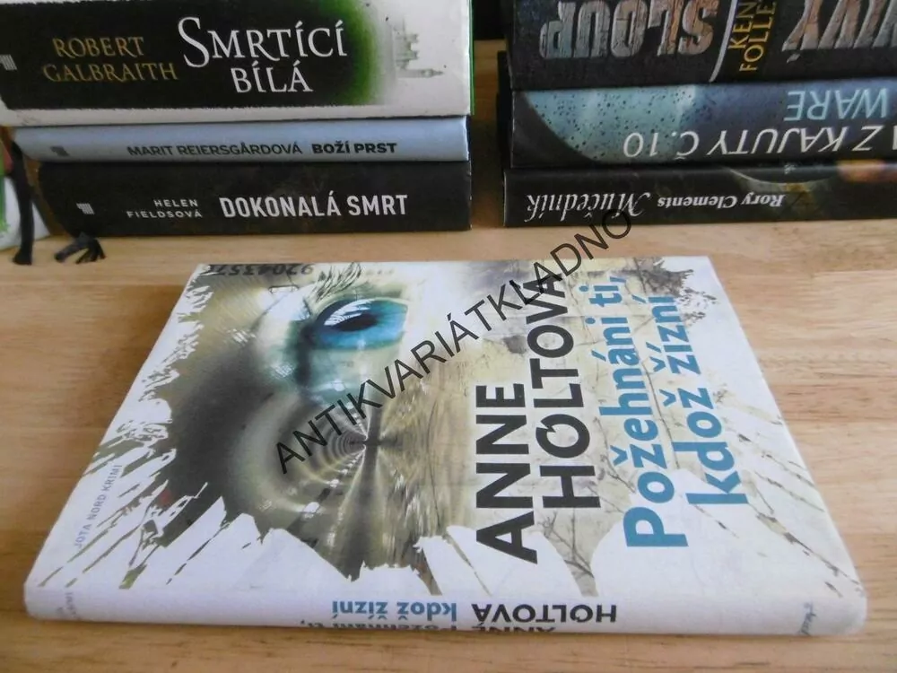 POŽEHNÁNI TI, KDOŽ ŽÍZNÍ, ANNE HOLTOVÁ, **an