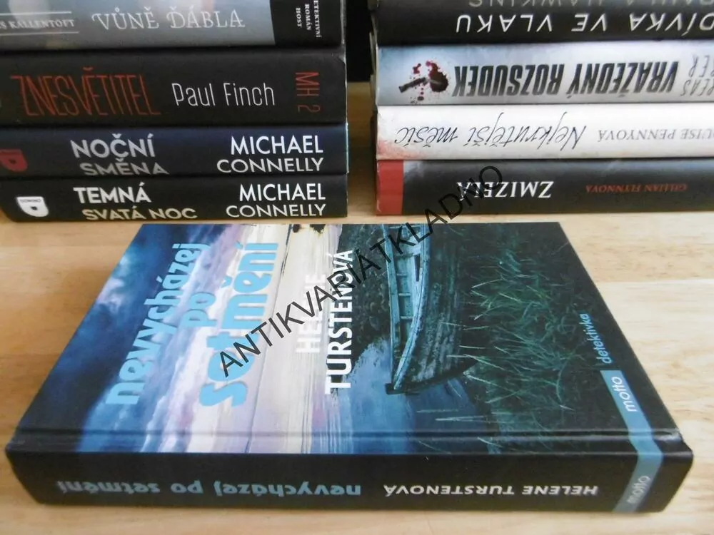 NEVYCHÁZEJ PO SETMĚNÍ, HELENE TURSTENOVÁ, **an