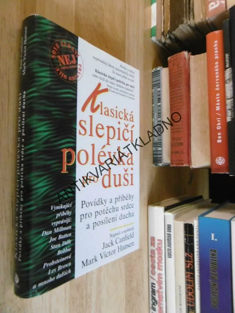 KLASICKÁ SLEPIČÍ POLÉVKA PRO DUŠI,**an