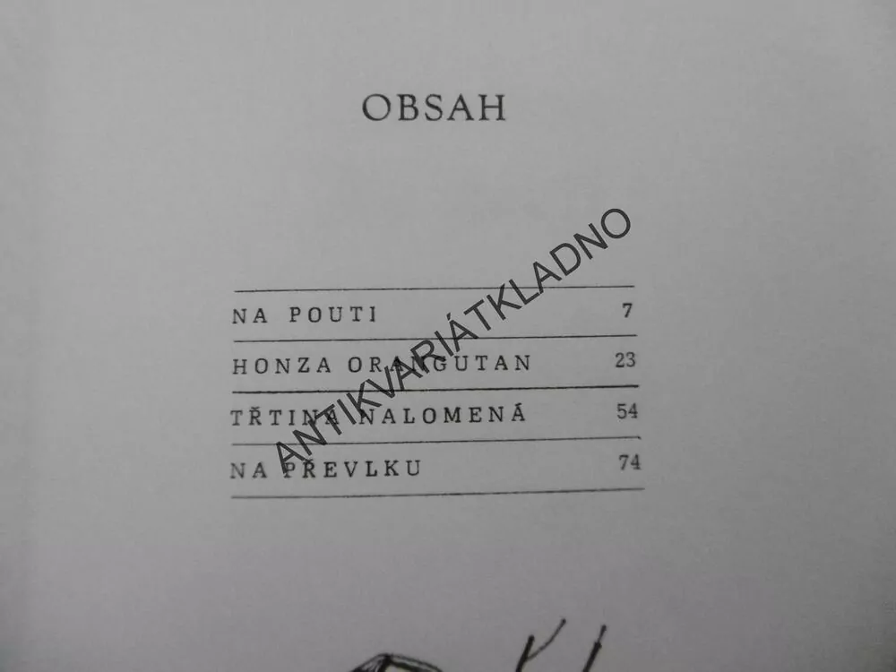 NA POUTI, VLASTA JAVOŘICKÁ, **an