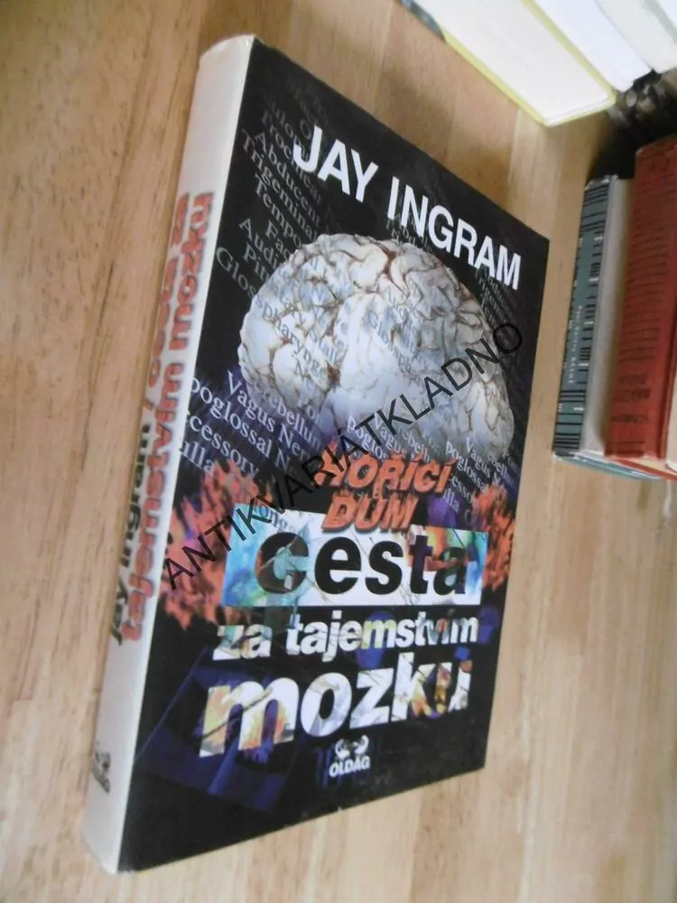 HOŘÍCÍ DŮM, CESTA ZA TAJEMSTVÍM MOZKU, JAY INGRAM, **an