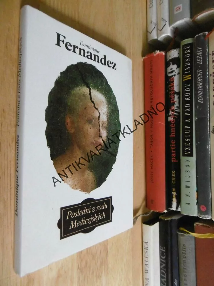 POSLEDNÍ Z RODU MEDICEJSKÝCH, DOMINIQUE FERNANDEZ, **an