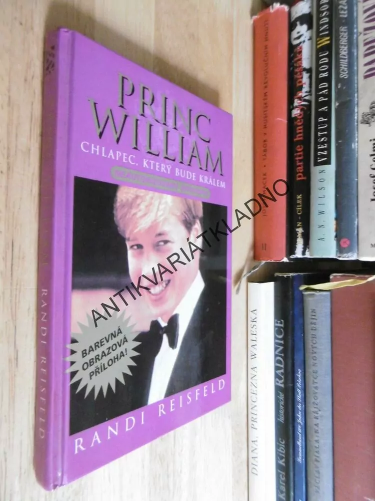 PRINC WILLIAM, CHLAPEC, KTERÝ BUDE KRÁLEM, RANDI REISFELD, NEAUTORIZOVANÝ ŽIVOTOPIS, **an