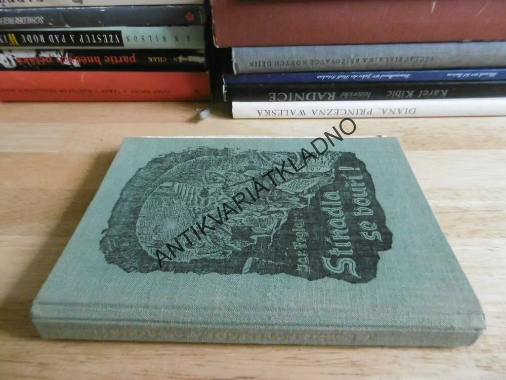 STÍNADLA SE BOUŘÍ, JAROSLAV FOGLAR, RYCHLÉ ŠÍPY, 1968