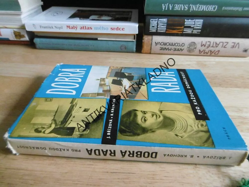 DOBRÁ RADA PRO KAŽDOU DOMÁCNOST, HOBBY, RETRO, BŘÍZOVÁ, KRCHOVÁ, **an
