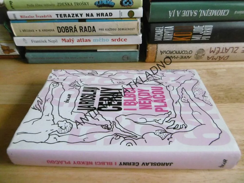 I BLBCI NĚKDY PLÁČOU, JAROSLAV ČERNÝ, **an