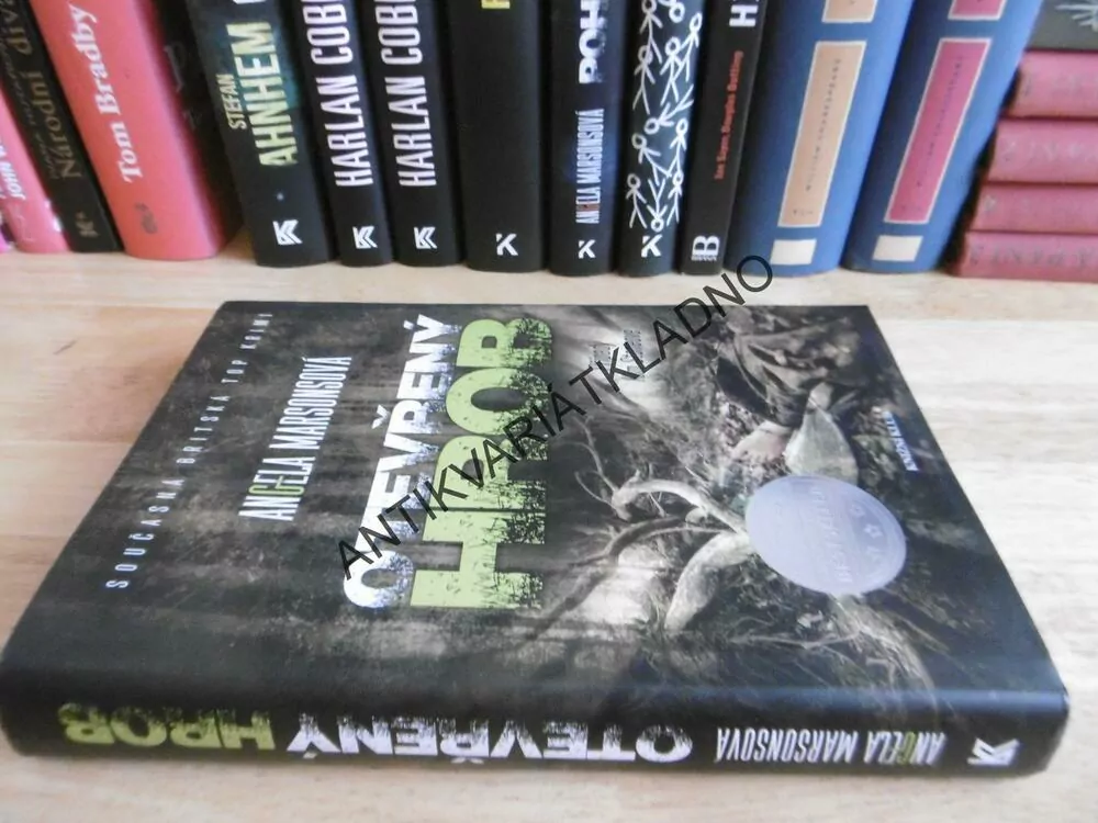 OTEVŘENÝ HROB, ANGELA MARSONSOVÁ, **an
