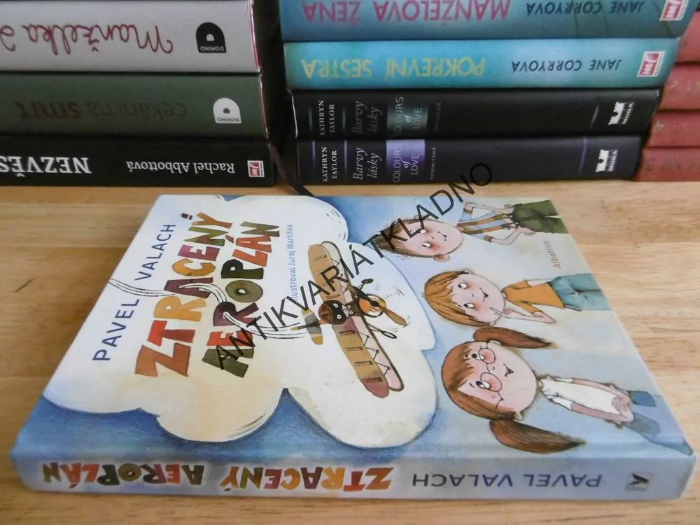 ZTRACENÝ AEROPLÁN, PAVEL VALACH, JURAJ MARTIŠKA, **an