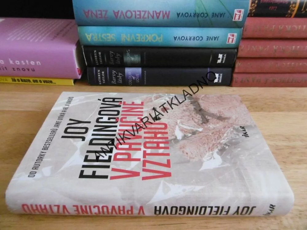 V PAVUČINĚ VZTAHŮ, JOY FIELDINGOVÁ, **an