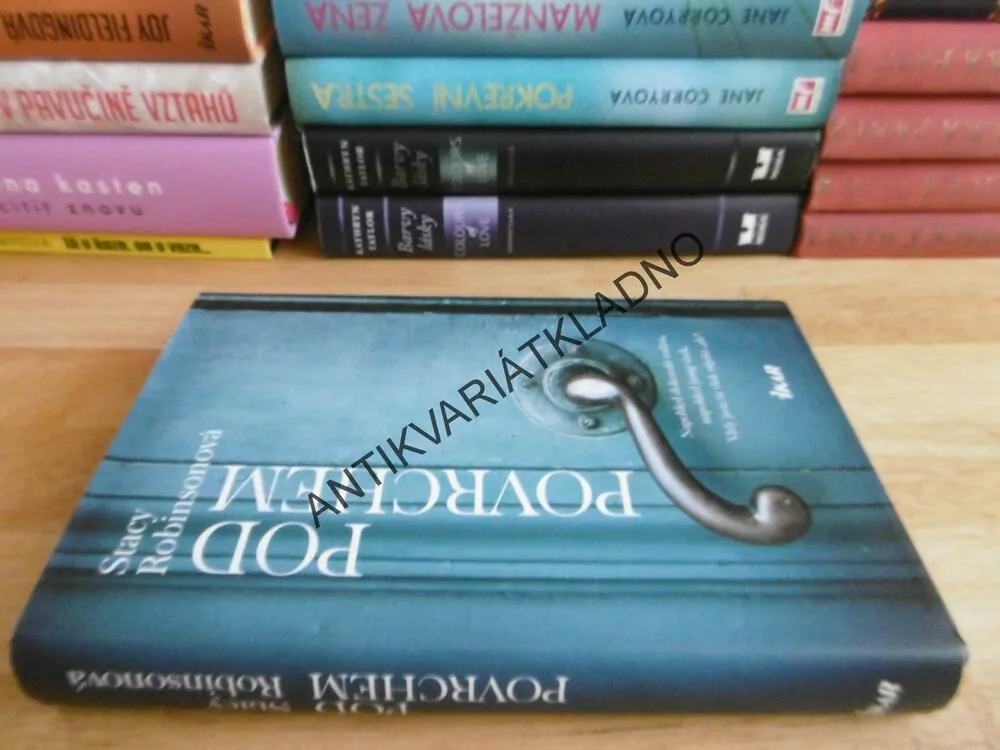 POD POVRCHEM, STACY ROBINSONOVÁ **an