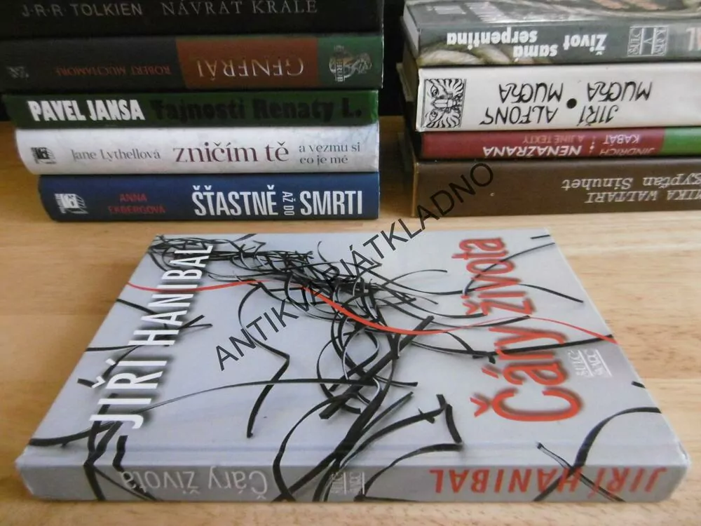 ČÁRY ŽIVOTA, JIŘÍ HANIBAL, **an