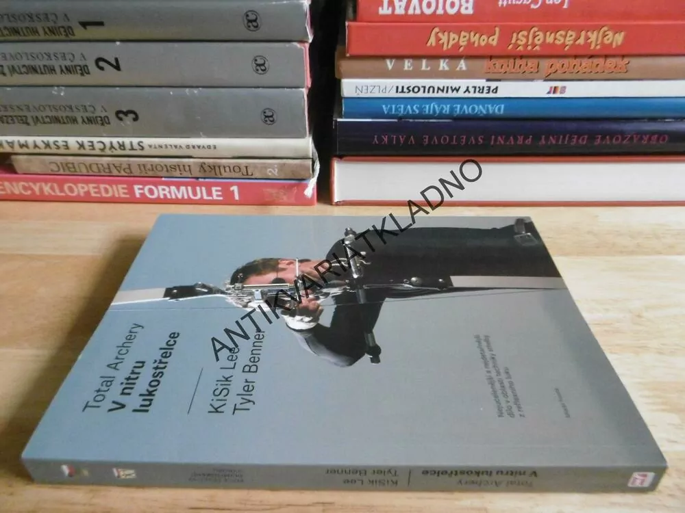 V NITRU LUKOSTŘELCE,Z REFLEXNÍHO LUKU, KISIK LEE, BENNER, SPORTOVNÍ STŘELBA, ZBRANĚ,