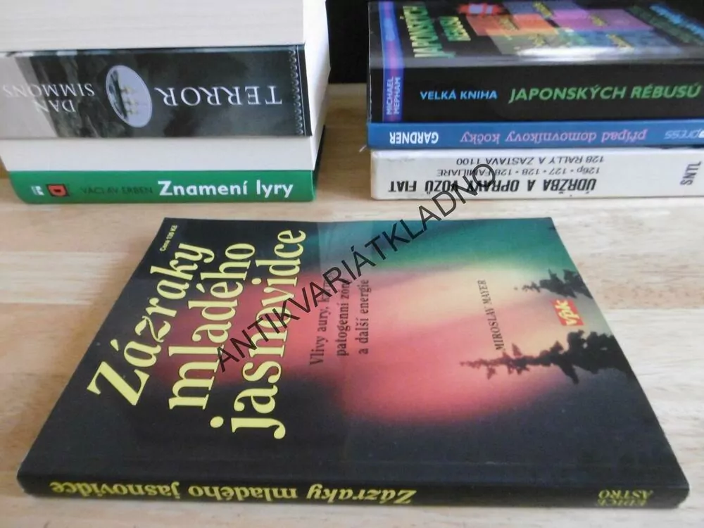 ZÁZRAKY MLADÉHO JASNOVIDCE, VLIVY, AURY, KARMY, PATOGENNÍ ZÓNY A DALŠÍ ENERGIE, MIROSLAV MAYER
